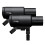 Profoto PRO-D3 750 Duo Kit