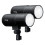 Profoto D30 Duo Kit