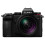 Panasonic Lumix S5D +  28-200mm f/4.0-7.1