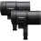 Profoto B30 Duo Kit