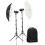 Godox AD300Pro 2 heads Kit