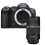 Canon EOS R6 Mark II + RF 600mm F11 IS STM