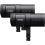 Profoto B30 Duo Kit
