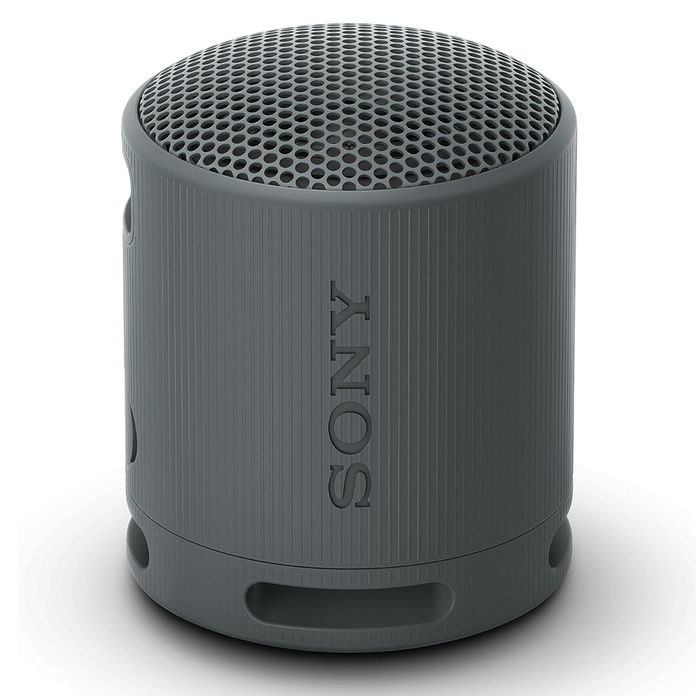 SONY SRS-XB100 Zwart