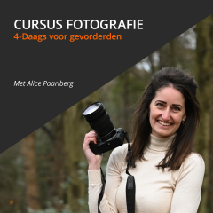 Gevorderden cursus fotografie