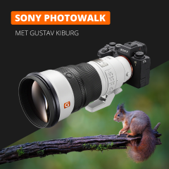 Sony Photowalk in Losser