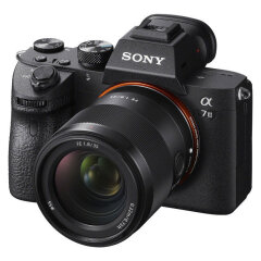 Sony A7 III + FE 35mm f/1.8