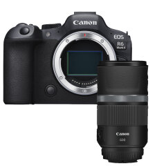 Canon EOS R6 Mark II + RF 600mm F11 IS STM 