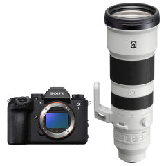 Sony A1 II + 400-800mm