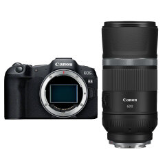 Canon EOS R8 + RF 600mm f/11 IS STM