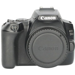 Tweedehands Canon EOS 250D Body Zwart CM6510