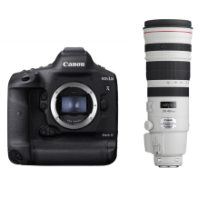 Canon EOS 1D X Mark III + EF 200-400mm f/4.0L IS USM Extender 1.4x