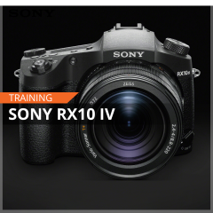 Training Sony RX10 IV 
