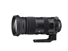 Sigma 60-600mm f/4.5-6.3 DG OS HSM Sports - Nikon