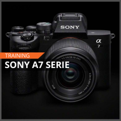 Training Sony A7 Serie