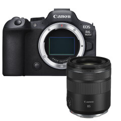 Canon EOS R6 Mark II + RF 85mm F2 MACRO IS STM