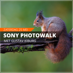 Sony Photowalk