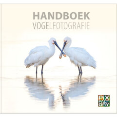 Handboek vogelfotografie