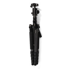 GPO Carbon Fiber Tripod & Ball Head