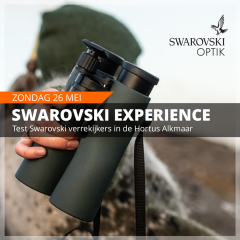Swarovski Experience | 10:00 - 11:30