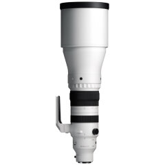 Sigma 300-600mm F4 DG OS Sports L-mount