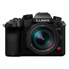 Panasonic LUMIX DC-GH6 + 12-60mm f/2.8-4.0