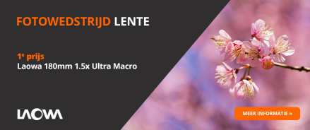 Fotowedstrijd Lente