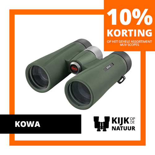 Kowa