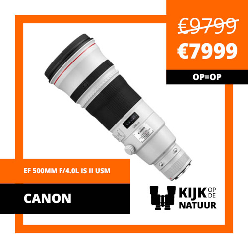 Canon-ef-500mm-f-4-0l-is-ii-usm