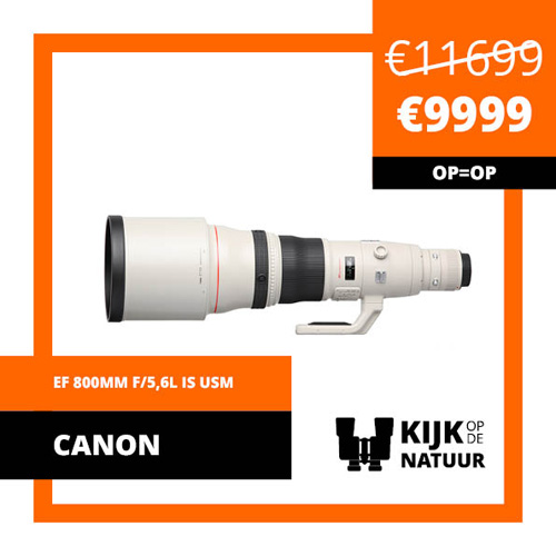 Canon-ef-800mm-f-5-6l-is-usm
