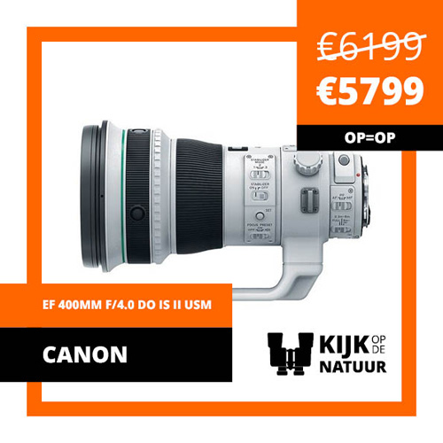 Canon-ef-400mm-f-4-0l-is-ii-usm