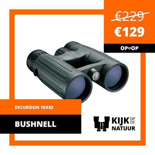 Bushnell-excursion-10x42-open-bridge