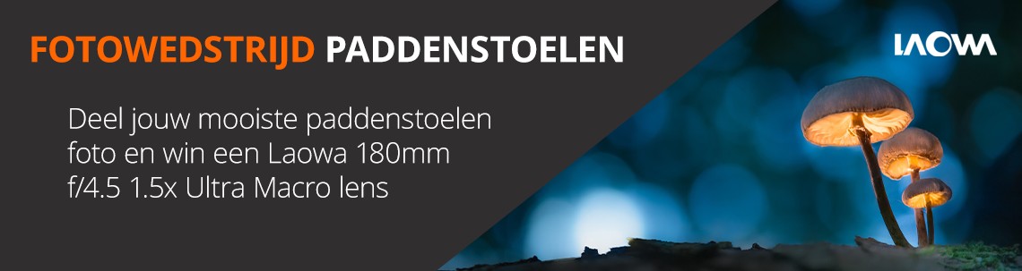 Fotowedstrijd Paddenstoelen