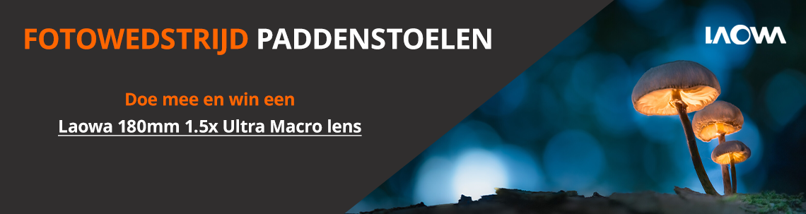 Fotowedstrijd Paddenstoelen