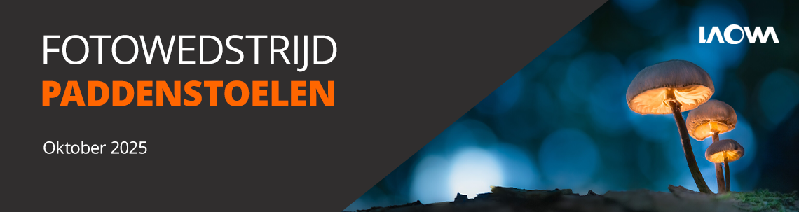 Fotowedstrijd Paddenstoelen