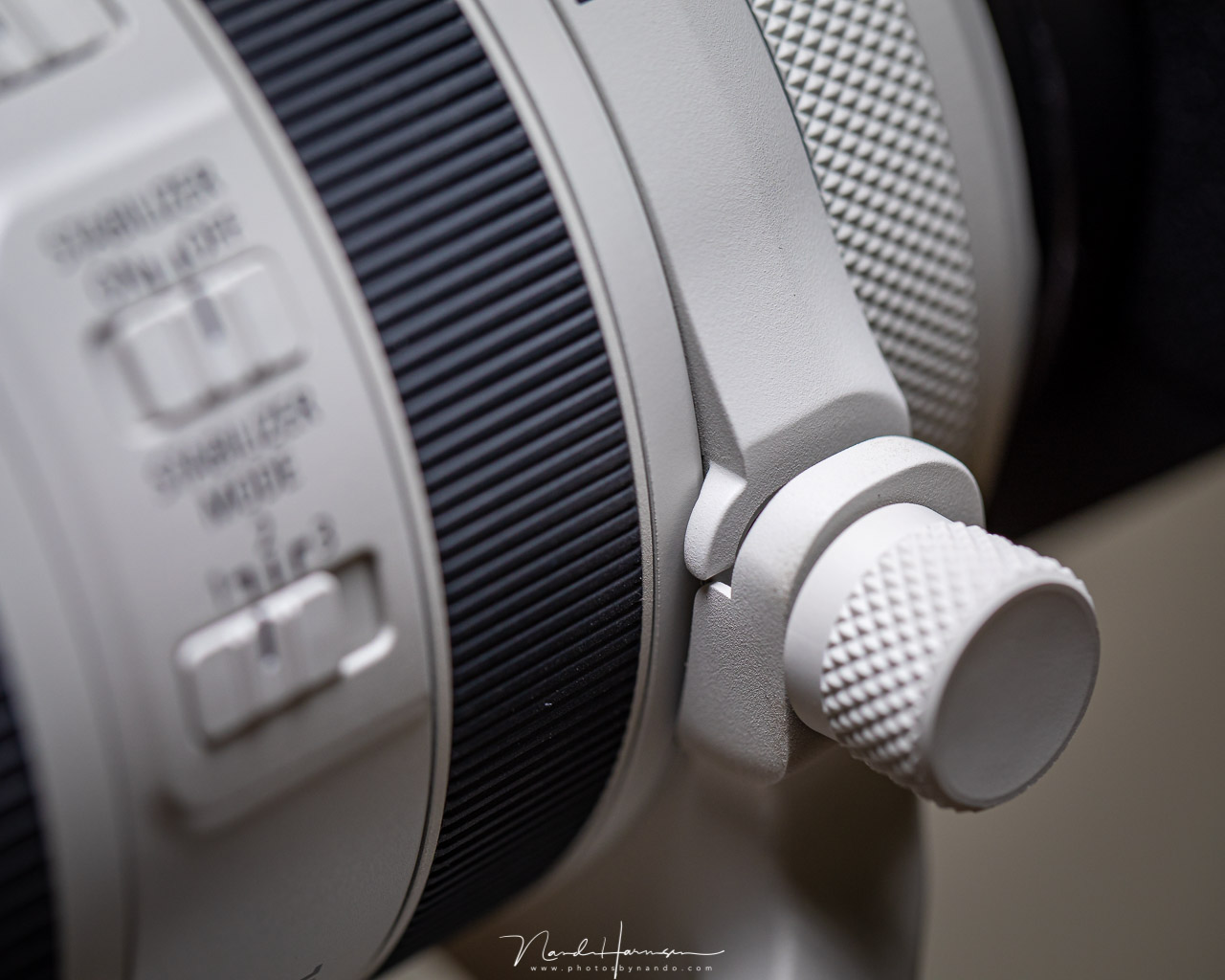 Review Canon RF 70-200mm