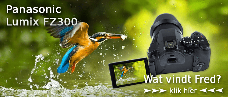 token Weigering Aanklager Review over de Panasonic FZ300 - Cameraland Blog