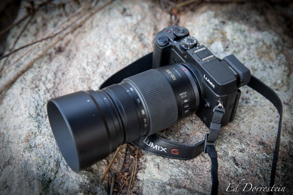 Review over de Panasonic GX8 en LX100 Ed dorrestein - Blog