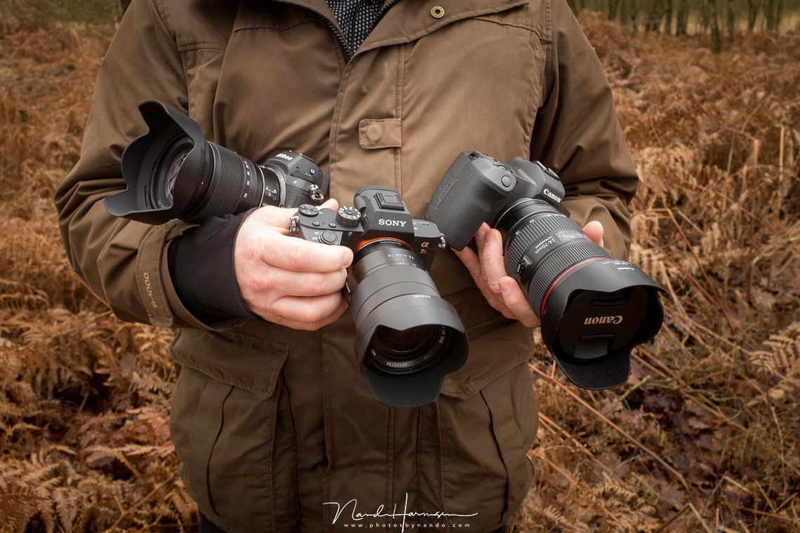 Individualiteit Oppervlakte mineraal Vergelijking Canon EOS R, Nikon Z7 en Sony A7R III - Cameraland Blog