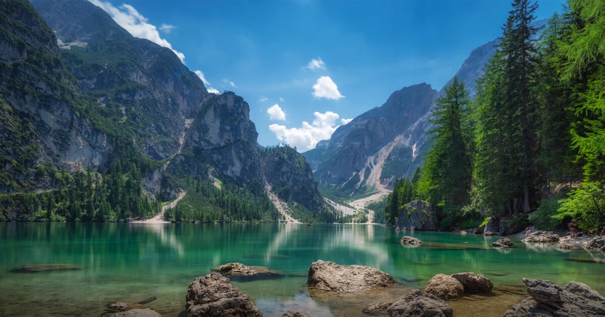 Choice of Creator Landschap